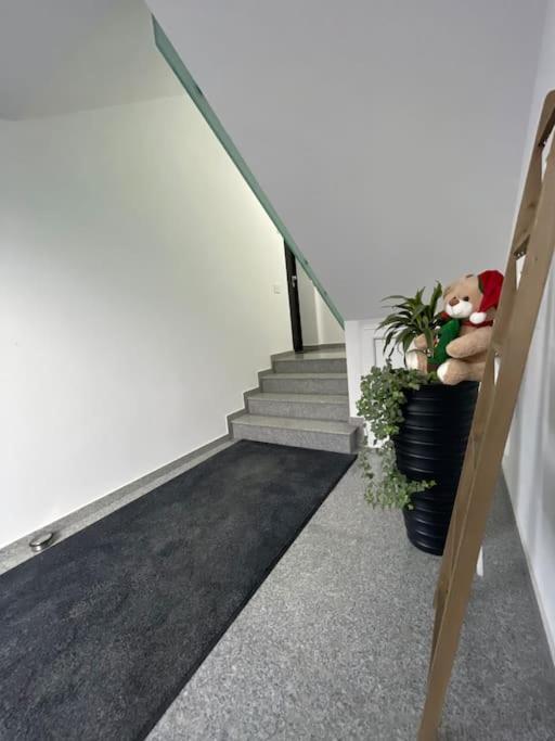 Apartament Timisoara 6 Exterior foto